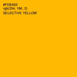 #FEBA02 - Selective Yellow Color Image
